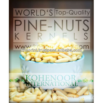 Pine Nuts Kernels